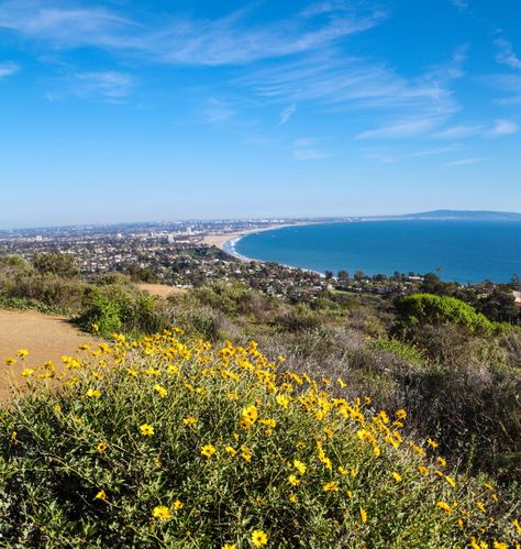 Malibu Hikes, Los Angeles Aesthetic, Hiking Places, Santa Monica Mountains, Topanga Canyon, Marbella Spain, Pacific Coast Highway, Rock Pools, Conde Nast Traveler