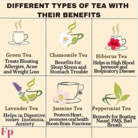 Buchu Tea Benefits, Eucalyptus Tea Benefits, Jasmine Green Tea Benefits, Yea Recipes, Jasmine Tea Benefits, Tea Knowledge, Hibiscus Tea Benefits, Health Checklist, Tea Etiquette