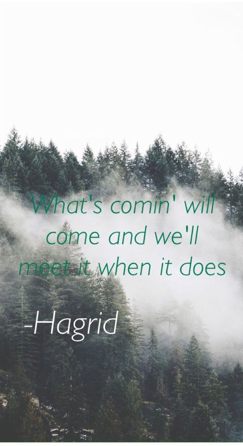 What's comin will come and we'll meet it when it does- hagrid quote. iPhone wallpaper, Harry Potter. Hagrid Wallpaper, Iphone Wallpaper Harry Potter, Hagrid Quotes, Quote Iphone Wallpaper, Quote Iphone, Quotable Quotes, Tattoo Ideas, Iphone Wallpaper, Harry Potter