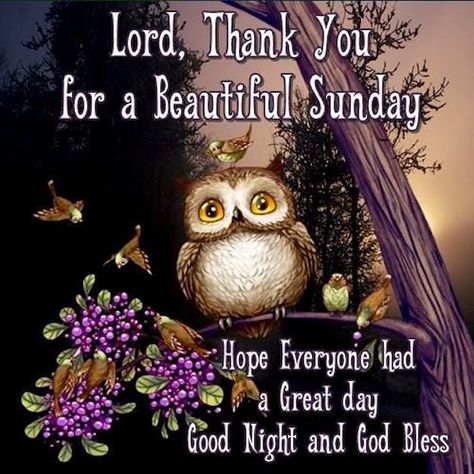 Thankful For A Beautiful Sunday Night Sunday Night Quotes, Good Night Sunday, Sunday Quotes Funny, Sunday Wishes, Blessed Night, Good Night Beautiful, Thankful Quotes, Sunday Love, Inspiring Pictures