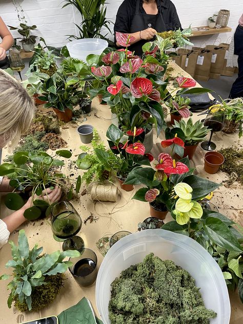 Plant Workshop Ideas, Planting Workshop, Workshop Trailer, Workshop Aesthetic, Gardening Workshop, Planting Party, Workshop Business, Plant Knowledge, Terrarium Making