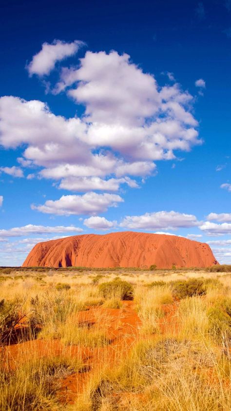 Ayers Rock Australia, Satellite Maps, Ayers Rock, Cellphone Wallpaper Backgrounds, Iconic Buildings, Different Seasons, Ancient Times, Reference Photos, Awe Inspiring