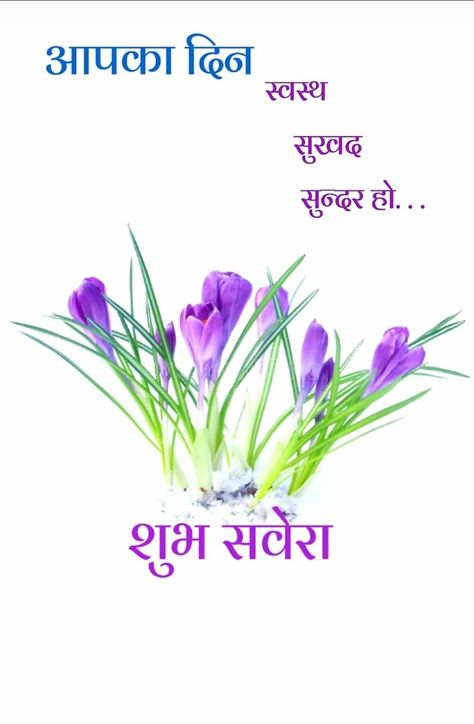 Shubh Prabhat In Hindi, Suprabhat Mornings In Hindi, Good Morning Hindi, Good Morning Hindi Messages, Good Morning In Hindi, Good Morning Posters, Good Morning Massage, Morning Msg, Beautiful Morning Quotes