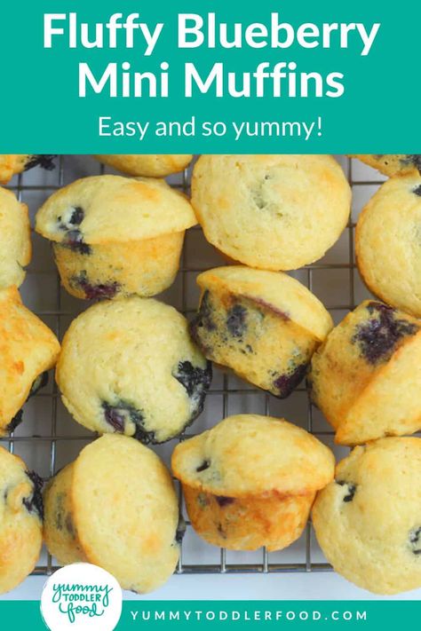 Try this simple stir-together recipe for perfectly fluffy Blueberry Mini Muffins every time—whether for breakfast or kids snack time. (These are perfect for kids who love Little Bites muffins!) Little Bites Muffins, Blueberry Mini Muffins, Mini Blueberry Muffins, Mini Muffin Recipe, Toddler Muffins, Blw Recipes, Mini Chocolate Chip Muffins, Baby Muffins, Dude Food