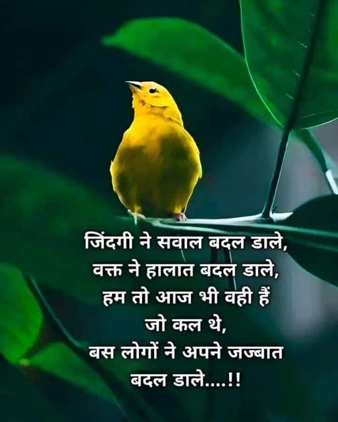 Sad Status, Hindi Quotes, thoughts Quotes Status Whatsapp, Love Status Hindi, Love Status Whatsapp, Friendship Quotes Images, Life Choices Quotes, Trend Quote, Whatsapp Status Quotes, Reality Of Life Quotes, Choices Quotes