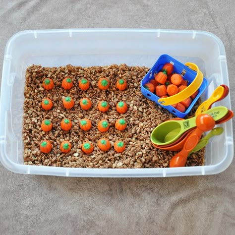 Our Five Ring Circus: Edible Pumpkin Patch Sensory Bin Pumpkin Patch Business, Toddler Activities Daycare, Edible Sensory Play, Pumpkin Patch Kids, Pumpkin Patch Party, Halloween Breakfast, Halloween Sensory, Motherhood Lifestyle, Pumpkin Activities