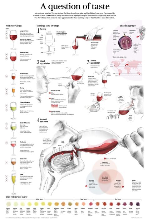 Art Du Vin, Wine Facts, Wine 101, Wine Knowledge, Wine Education, Different Wines, Wine Tasting Party, Wine Guide, Tasting Party