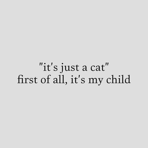 Cats Aesthetic Quotes, Cat Aesthetic Quotes, Cat Person Quotes, Copying Me Quotes, Country Music Aesthetic, Black Cat Quotes, Character Quotes, Six Feet Under, Music Aesthetic