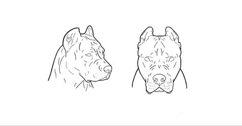 Pocket Bully Tattoo, Pitbull Head Tattoo, American Bully Tattoo Ideas, Bully Tattoo Design, American Bully Tattoo Design, American Bulldog Tattoo, American Bully Tattoo, Bully Tattoo, Tattoo Detailed