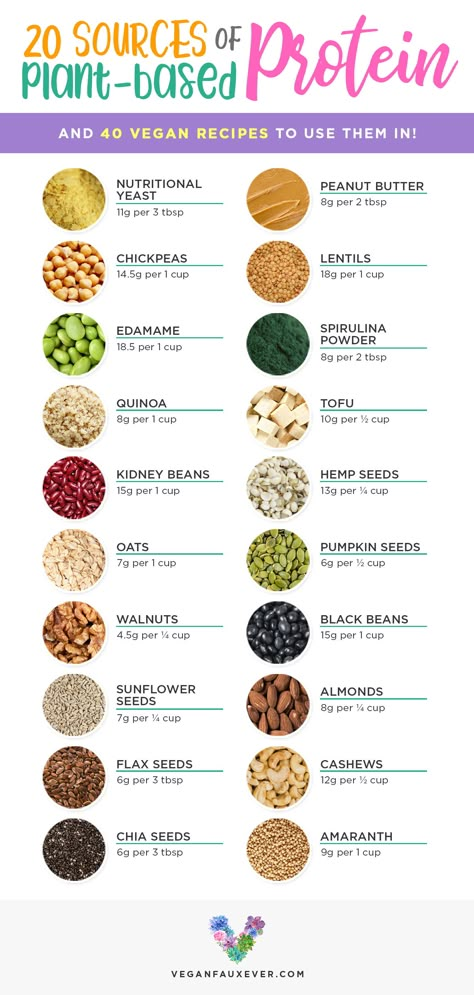 Plant Based Proteins, Plant Based Protein Sources, Vegan Protein Sources, Protein Dinner, High Protein Vegan Recipes, Vegetarian Protein, High Protein Vegan, Vegan Nutrition, Makanan Diet