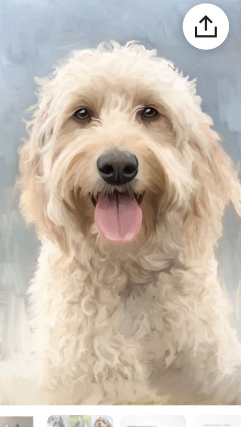 Labradoodle Drawing, Labradoodle Art, Goldendoodle Art, Dog Face Drawing, Pet Portrait Paintings, Dog Portraits Painting, Dog Portraits Art, Useful Gifts, Automatic Vacuum