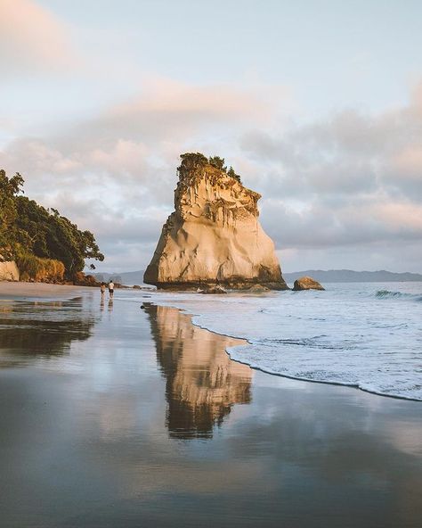 Giulia Gartner on Instagram: “Who would want to go for a romantic walk on the beach in New Zealand’s paradise? 💛😍” Cathedral Cove, Epic Journey, Beach Walk, Mount Rushmore, Aesthetic Pictures, New Zealand, Save Money, The Beach, Voyage