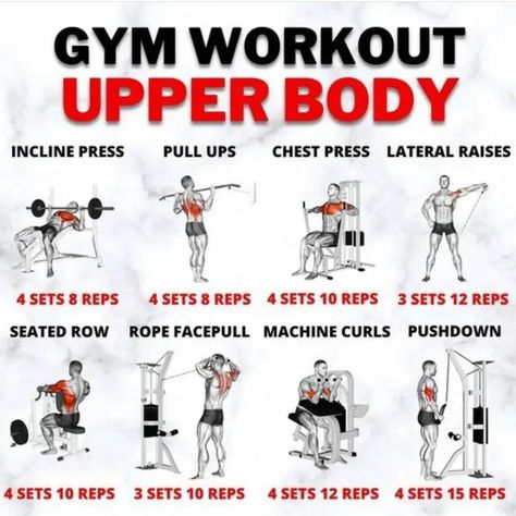 Total Upper Body Workout At Gym, Gym Upper Body Workout, Upper And Lower Body Workout, Upper Body Workout At Gym, Insanity Workout Calendar, Works Outs, Upper Body Workout Gym, Workout At Gym, Leg Workouts Gym