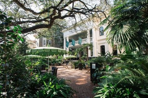 New Boutique Hotels in the U.S.: Top Boutique Hotels 2021 - Indagare Garden District New Orleans, New Orleans Garden District, New Orleans Hotels, New Orleans Homes, Garden District, Better Homes And Garden, Marriott Hotels, Big Easy, Texas Travel