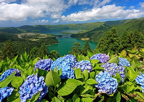 Azores, Portugal San Miguel Azores, Terceira Azores, Sao Miguel Azores, Azores Islands, Azores Portugal, Places In Portugal, Green Island, The Azores, Hidden Places