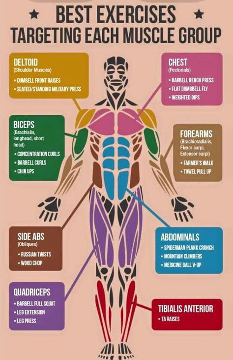 Best exercises for each body part (1 of 2) Inner Leg Workout, Planning Sport, Farmers Walk, Trening Fitness, Best Exercises, Muscle Groups, Build Muscle, Lose Belly Fat, Workout Routine