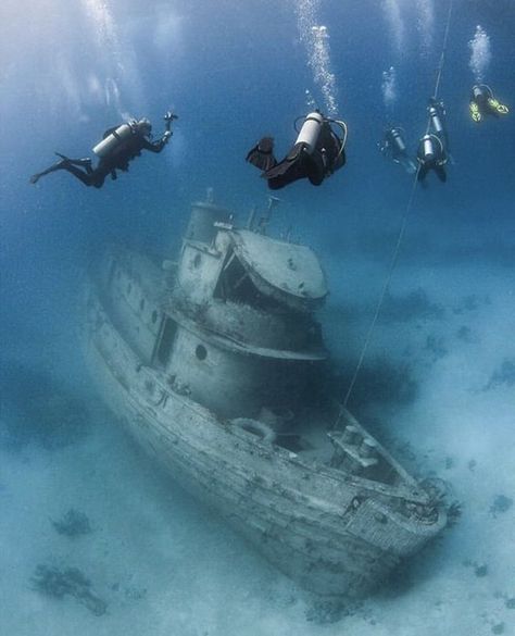 It is not down in any map; true places never are.  Herman Melville  Photo by @scubadivinghappy #diving_photography #divingphoto #divinglife #bahamas #bahamas Cat Island, Bahamas Vacation, Bahamas Island, Best Scuba Diving, Abandoned Ships, Water Adventure, Koh Tao, The Bahamas, Paradise Island