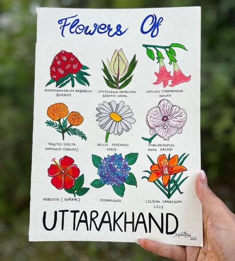 Flowers of Uttarakhand by Deepshikha T (@_deee_arts_) #hoovufinds Bhuli Art Uttarakhand, Pahadi Culture, Uttarakhand Culture, Ap Environmental Science, Sketch Reference, Study Stuff, Indian Motifs, Drawing Competition, Dancing Drawings