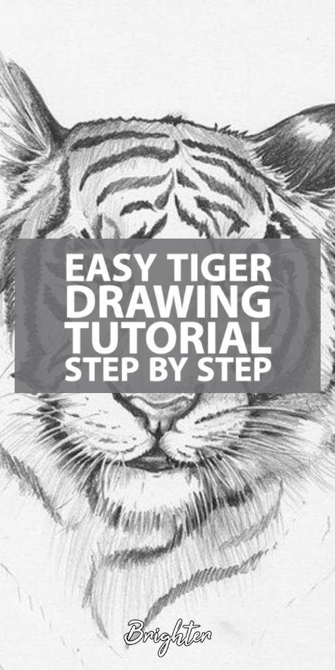 Do you love tigers? One animal everyone loves to draw is a tiger. Maybe it is their powerful appearance or childhood memories Shere Khan, The Tiger King from Jungle Book. This easy step by step guide will teach you how to draw a tiger with confidence. Tiger Face Drawing Sketches, Animal How To Draw, Drawing Ideas Tiger, Tiger Sketch Easy, Drawing Tiger Easy, How To Draw A Tiger Face, How To Draw Beginner Step By Step, How To Draw A Tiger Step By Step, Animal Sketches Easy Step By Step