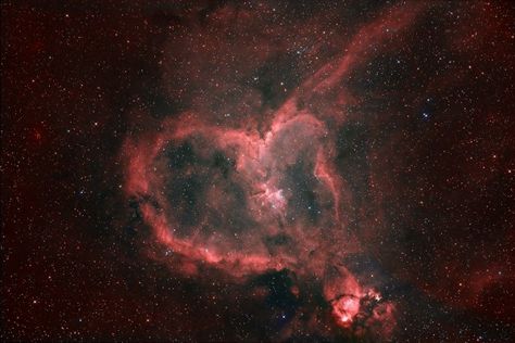 Heart-shaped nebula IC 1805, captured by Daniel Marquardt. Heart Nebula, Nebula Jars, Nebula Marvel, Nebula Tattoo, Nebula Painting, Nebula Wallpaper, Heart In Nature, Orion Nebula, Hubble Space