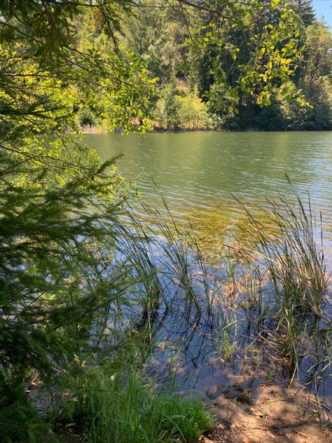 Lake Siskiyou California, Places Aesthetic, California Hills, Hidden Lake, Hannah Grace, Summer Vision, Wood Lake, Lakes In California, Mt Shasta