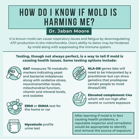 Mold Toxicity, Mold Allergy, Mold Exposure, Toxic Mold, Allergy Awareness, Chronic Inflammation, Autoimmune Disease, Holistic Healing, Health Lifestyle