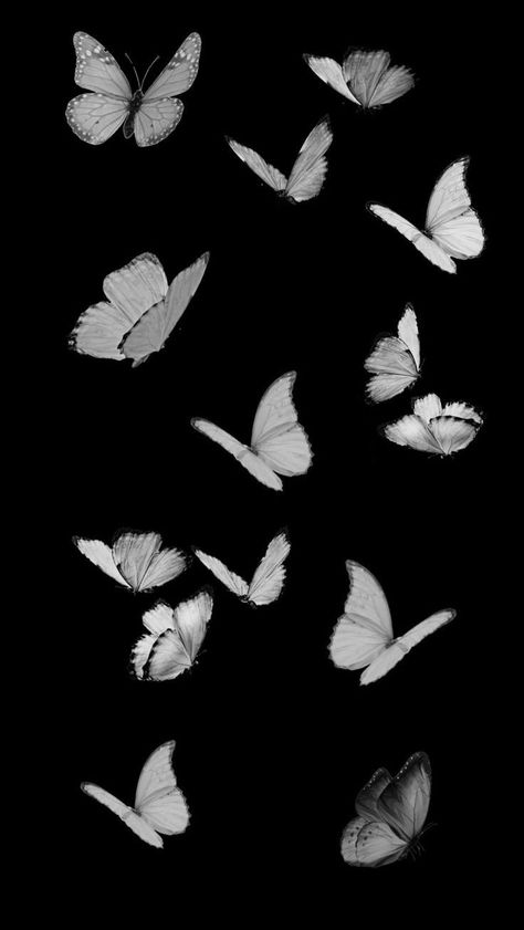 Black And White Background Landscape, Grey Minimalist Wallpaper, Y2k Aesthetic Wallpaper, Butterfly Black And White, Dark Red Wallpaper, Black And White Picture Wall, Bubbles Wallpaper, Artist Photo, Simple Phone Wallpapers