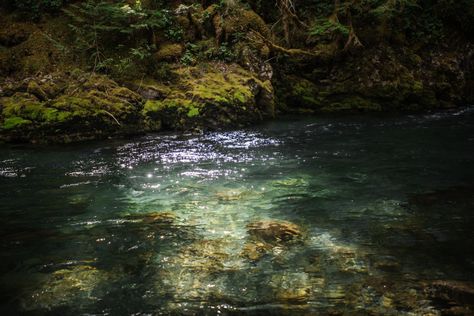 Orofeaiel Lake Aesthetic Dark, Stormy Water, Lake Aesthetics, Lake Aesthetic, Dark Landscape, Nature Camping, Mermaid Aesthetic, Green River, Rock Pools