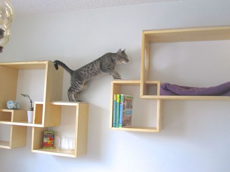 When someone asks “what type of cat tree should I get if I want it to match my contemporary interior design?” it's quite difficult to come up with a valid Diy Cat Shelves, Katt Diy, Cat Tree Designs, Cat Climbing Wall, Cat Climbing Shelves, Katt Grejer, Kat Diy, Chat Diy, Cat Shadow