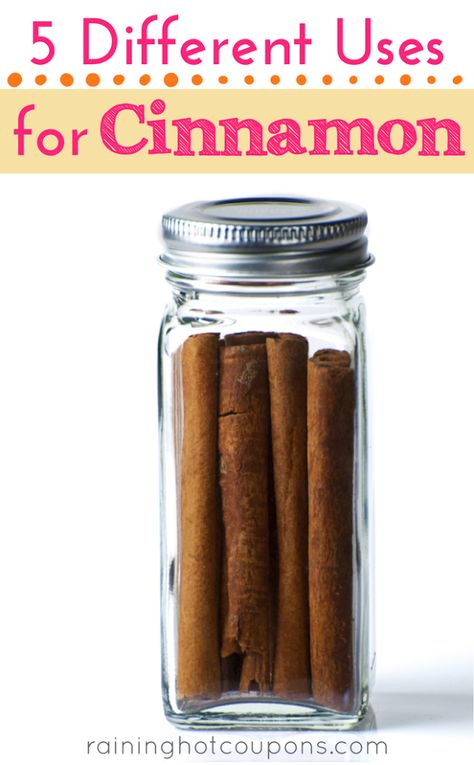 5 Different Uses For Cinnamon Uses For Cinnamon, Healthy Nutrition Plan, Honey And Cinnamon, Good Health Tips, Proper Nutrition, Healthy Nutrition, Health Diet, Nutrition Tips, Perfect Food