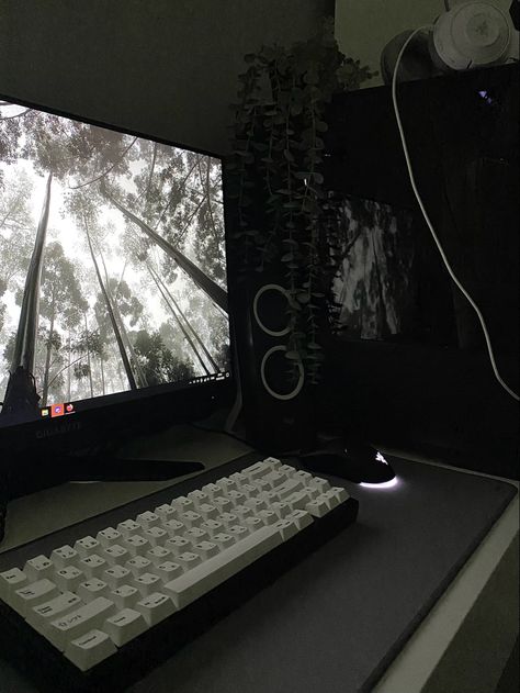 Ideas For Computer Desk, Gaming Setup Dark Aesthetic, Razer Setup Gaming, Computer Gaming Aesthetic, Pc Setups Gaming, Gaming Computer Aesthetic, Simple Gaming Setup Aesthetic, Black And White Pc Setup Aesthetic, Black And White Gaming Setup Aesthetic