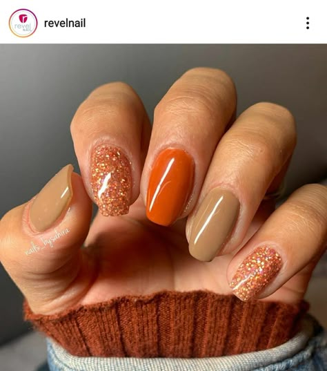 Simple Burnt Orange Nails, Short Multicolor Nails Fall, Gel Nail Designs November, Michigan State Nails, Autumn Nails Inspiration Square, Wedding Party Nail Ideas, Sns Fall Colors, Fall Gel Toe Nail Colors, Round Nails Fall Colors