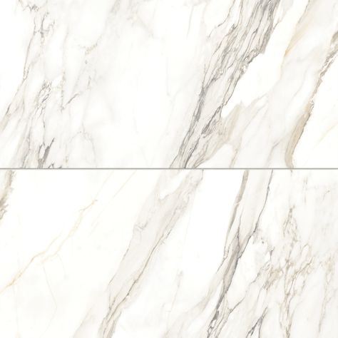 Prati 24" x 48" Polished Porcelain Field Tile in Calacatta Borghini Warm Bedrosian Tile, Calacatta Borghini, Kids Bathroom Remodel, Calacatta Oro, Porcelain Tile, The Bathroom, Master Bath, Bathroom Ideas, The Collection