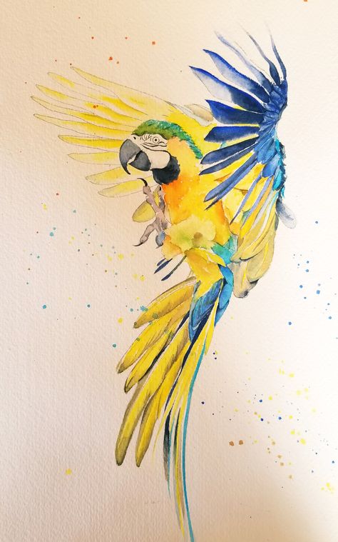 Watercolor Flying Parrot, Parrot Painting, Hand Painted Sarees, Floral Watercolor, Parrot, Watercolor Art, Rooster, Birds, Hand Painted