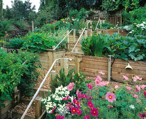 Bg House, Terraced Vegetable Garden, Hillside Terrace, Vegetable Garden Soil, Hillside Landscape, Hillside Gardening, Terraced Garden, Hillside Garden, Vertical Vegetable Garden