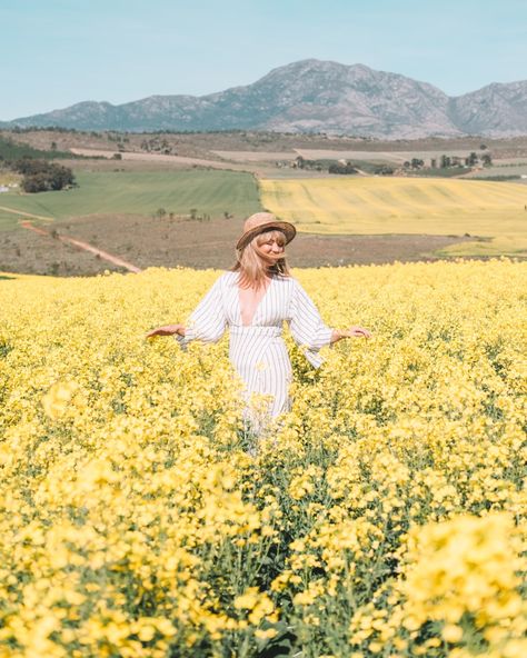 My Comprehensive Guide to Cape Town for Summer 2018 Large Family Photography, Rapeseed Field, Canola Field, Flower Model, Flower Photoshoot, Creative Portrait Photography, Vintage Portraits, Photo Challenge, Creative Portraits