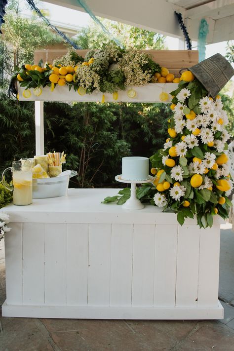 First Birthday At Home, Lemon Themed Party, Diy Lemonade Stand, Lemon Centerpieces, Wife Of The Party, Themed 1st Birthday, Graduation Party Themes, Backyard Birthday, Lemonade Party