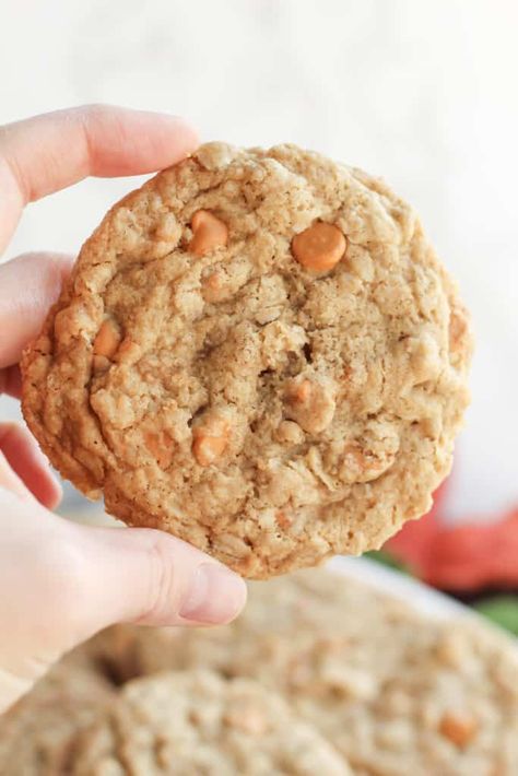 A classic Oatmeal Cookie recipe is taken to the next level with these easy, gluten-free Oatmeal Scotchies! Filled with oats, butterscotch chips and cinnamon, these are the best, chewy Fall cookies. Oatmeal Butterscotch Chip Cookies, Oatmeal Scotchies Cookies, Scotchies Cookies, Butterscotch Cookies Recipes, Butterscotch Chip, Oatmeal Butterscotch, Butterscotch Chip Cookies, Oatmeal Scotchies, Oatmeal Butterscotch Cookies