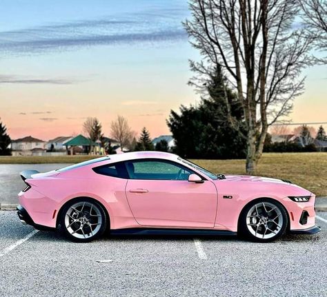 Pink Shelby Gt500, Pink Mustang Gt, Pink Garage, Pink Mustang, 50 Shades Of Pink, Mustang Horses, 2005 Mustang, Mustang Ecoboost, Car Shade