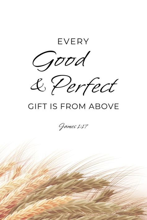 Every Perfect Gift Is From Above, James 1 17 Scriptures, Every Good And Perfect Gift Is From Above, 2024 Bible Verse, James 1 17 Wallpaper, Every Good And Perfect Gift Verse, James 1:17, Baptism Bible Verses, Baptism Verses