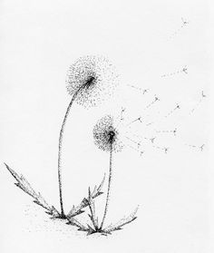 Pointalism Art, Pointillism Tattoo, Dandelion Drawing, Dotted Drawings, Tumblr Drawings, Dandelion Art, 8th Grade Art, Dandelion Tattoo, Dandelion Wishes