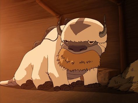 Appa Avatar, Avatar Show, Avatar Legend Of Aang, Avatar Picture, Disney Dogs, Team Avatar, Avatar Aang, Legend Of Korra, Aang