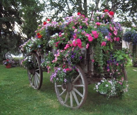 planted wooden wagon...gorgeous Wagon Ideas, Land Scaping, Farm Wagons, Garden Wagon, Flower Containers, Flower Tower, Beautiful Decorations, Flower Cart, Garden Containers