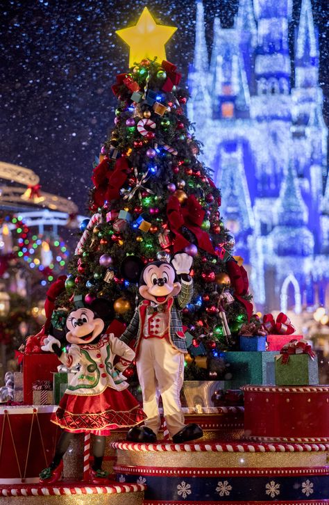 Chateau Disney, Disneyland World, Disney Parque, Disneyland Christmas, Disney World Christmas, Very Merry Christmas Party, Wallpaper Disney, Christmas Phone Wallpaper, Cute Christmas Wallpaper