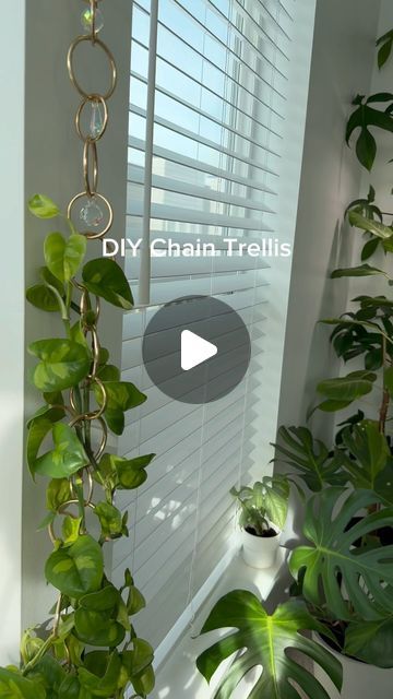 Diy Chain Trellis, Trellis Diy, Plant Chain Trellis, Diy Houseplant Trellis, Diy Wire Plant Trellis, Diy Trellis Houseplant, Indoor Trellis, Diy Chain, Supply List