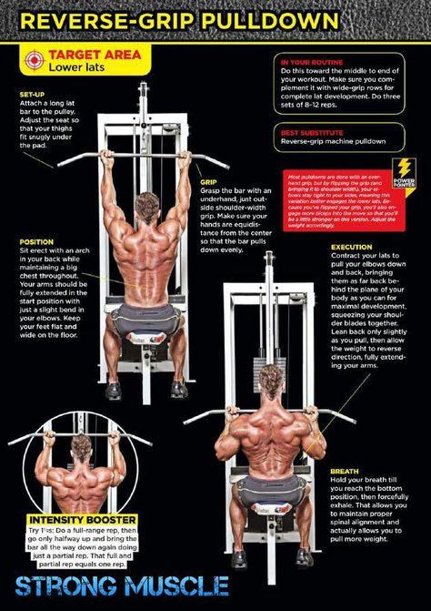 Lower lats exercises Lat Workout, Health Infographics, Sport Exercise, Men Health, Weight Training Workouts, Chest Workouts, Gym Inspiration, Gym Workout Tips, Back Exercises