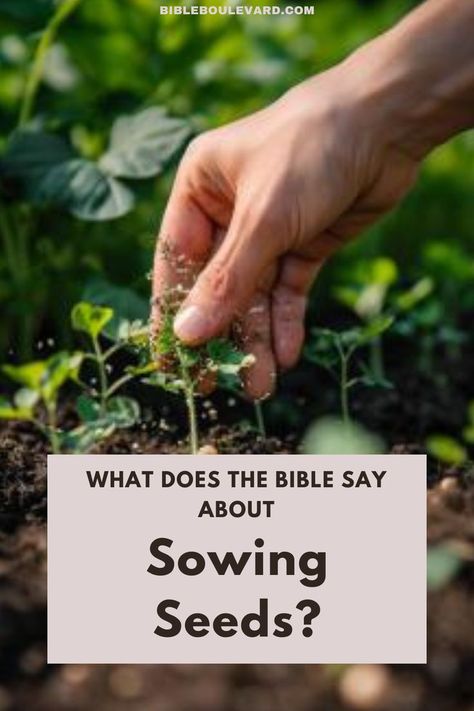 What Does the Bible Say About Sowing Seeds? Sowing And Reaping, Bible Garden, Prayer Garden, Sowing Seeds, Best Bible Verses, Bible Says, Bible Prayers, The Gospel, Spiritual Life