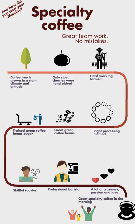 I Love Coffe, Coffee Process, Types Of Coffee Beans, Coffee Infographic, Monday Coffee, Types Of Coffee, Coffee Facts, Coffee Tree, Fair Trade Coffee