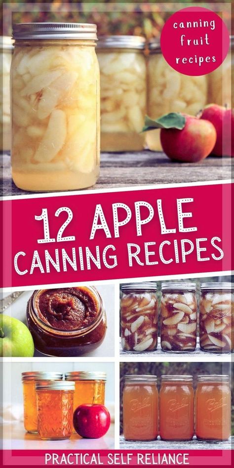 12+ Apple Canning Recipes: Preserving Fruit in Jars - Here are all of my favorite apple canning ideas! From apple jam to apple butter to canning apple pie filling to homemade apple jelly and even canning apple juice and apple cider vinegar! There are so many ways to preserve the fall apple harvest! Canning Apple Juice, Apple Canning Recipes, Storing Apples, Easy Canning Recipes, Apple Recipes For Canning, Can Apples, Apple Canning, Canning Fruit Recipes, Preserving Apples