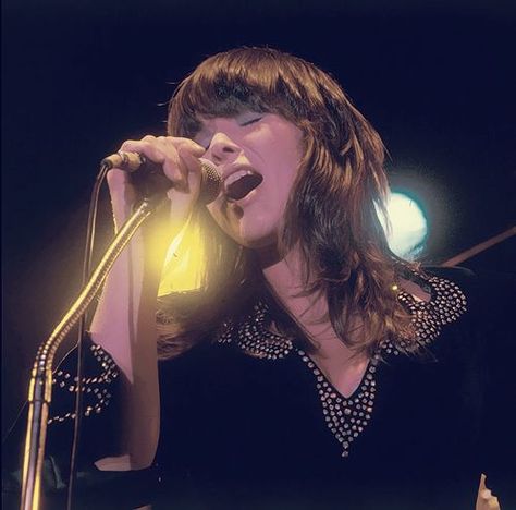 Wow Ann Wilson, On Stage, A Woman, Singing, Hair